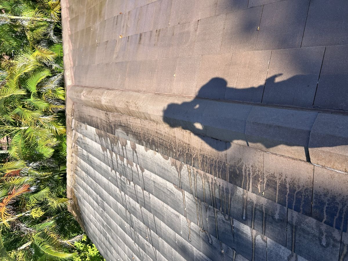 A flat tile roof half cleaned: dark, streaked tiles on the left and clean tiles on the right